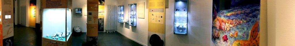 1-angepasst-1920×300