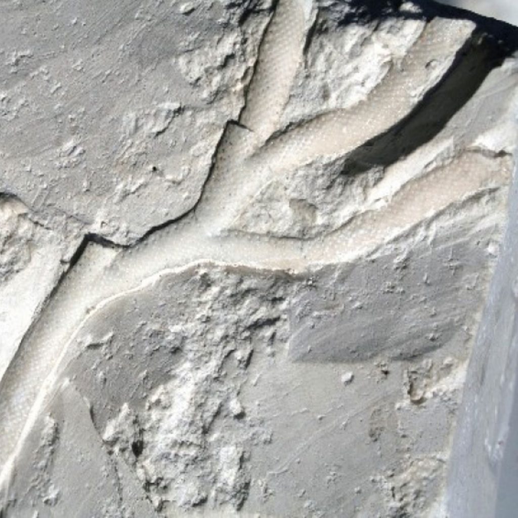 Strauchförmige-Kolonie-60-mm