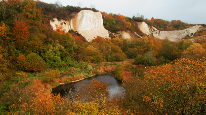 Kreidemuseum Herbstimpression