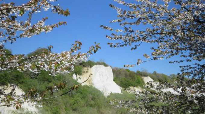 Kreidemuseum Rügen Ab Dem 26. Mai 2020 Wieder Geöffnet!