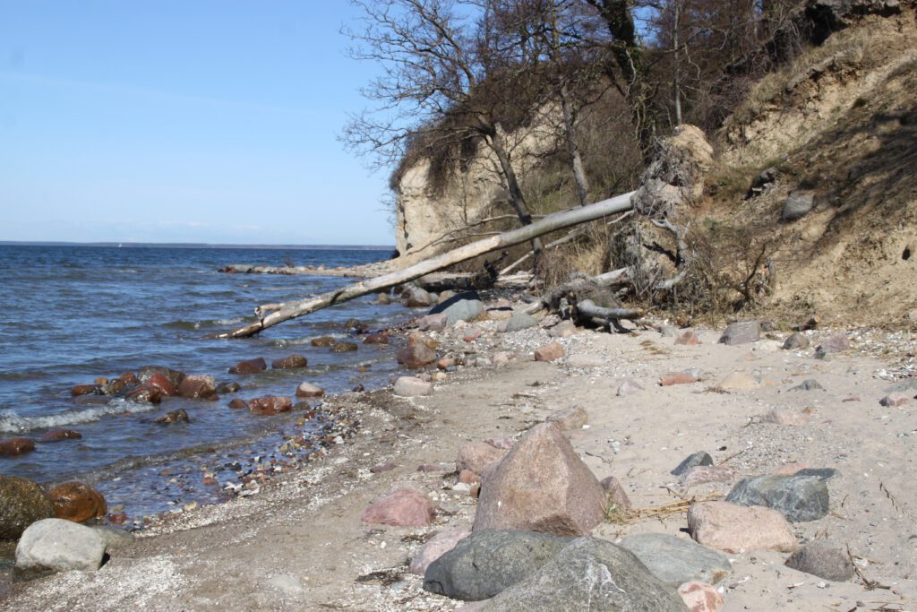 Lietzow 2015 (1 (29)